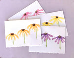 Coneflower Watercolor Floral Notecards