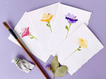 Poppy Watercolor Floral Notecards