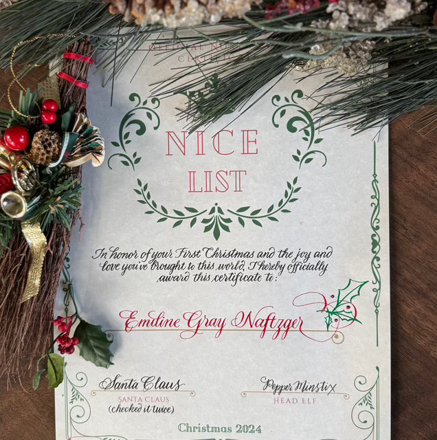 Baby's Nice Certificate