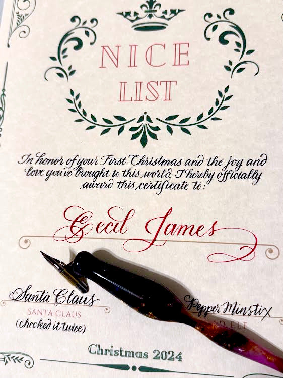 Baby's Nice Certificate